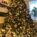 Искусственная ель «Берген» (Литая хвоя) 240 см / 2.4 м