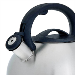 Чайник со свистком 3 л из нержавеющей стали, индукционное дно WEBBER BE-0587 сатин