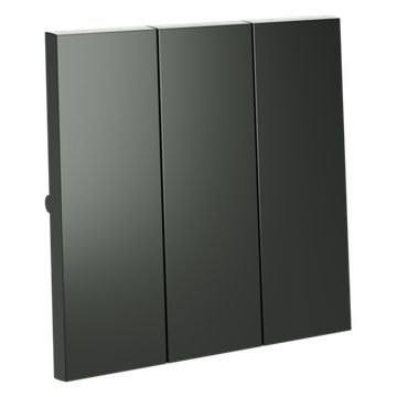 Клавиши для выключателя/переключателя трехклавишного, S70 (титан)