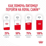 Тонкие ломтики в соусе, 85г Digestive для здоровья пищеварительной системы Royal Canin