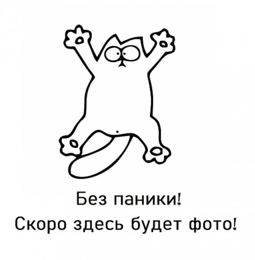 Дверь-купе ARISTO О, зеркало, профиль шампань матовая