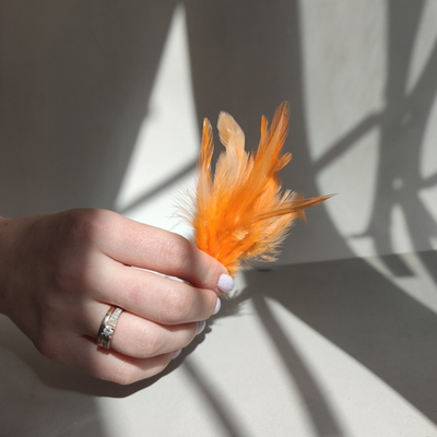 Перья петуха оранжевые 2 сорт 20 шт.
