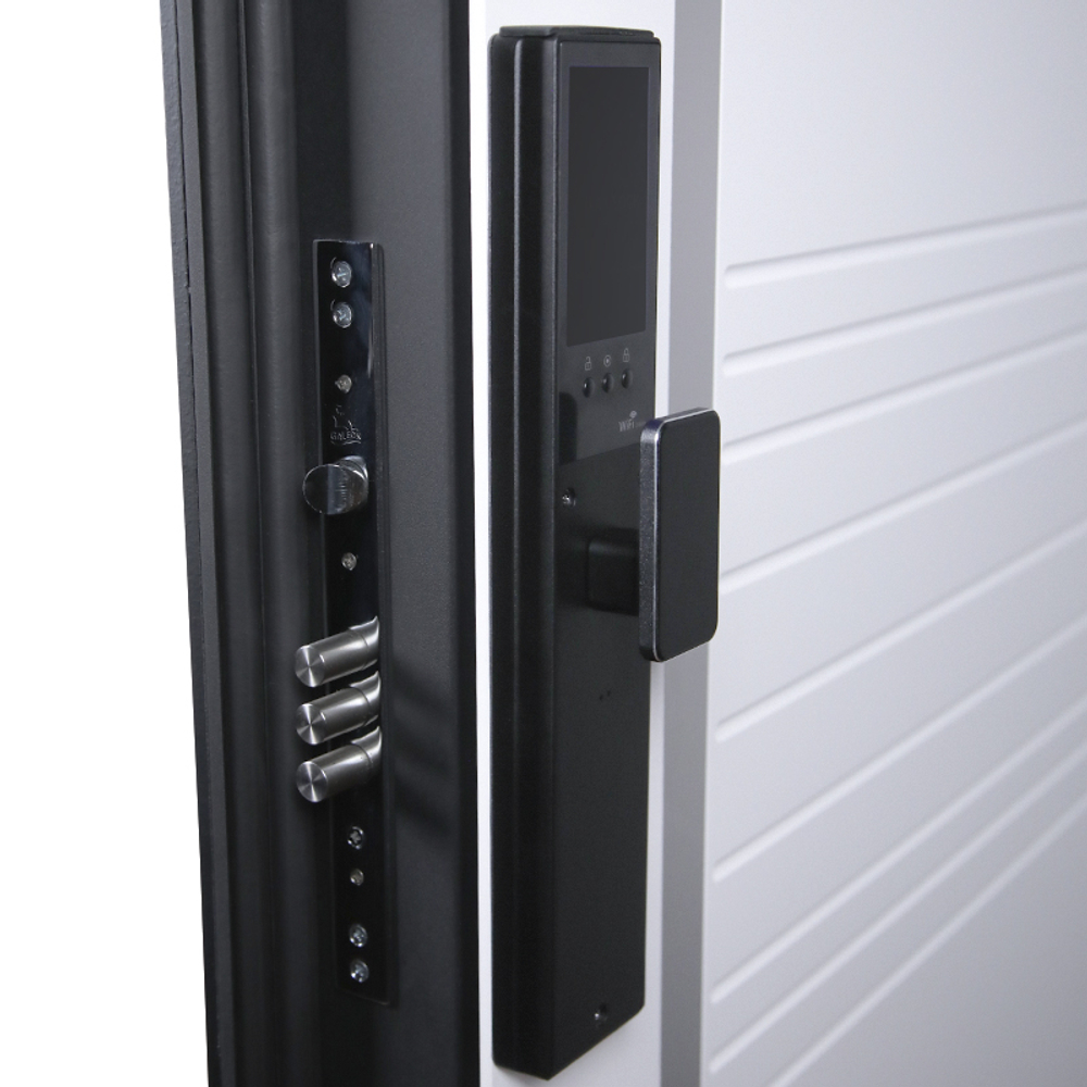 Стальная дверь "Обсидиан" 3D (биометрический замок Smart lock Y23). Заказная модель.