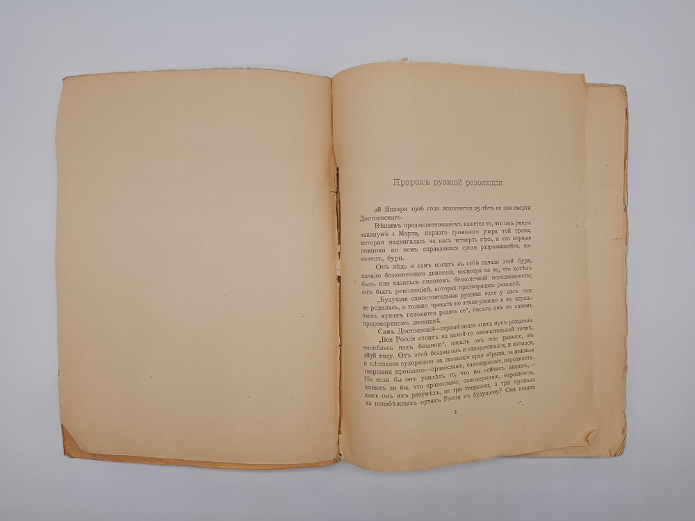 "Пророк Русской революции". Д.Мережковский. 1906 г.