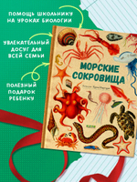 Удивительные энциклопедии. Морские сокровища