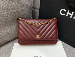 Chane1 WOC 19 cm