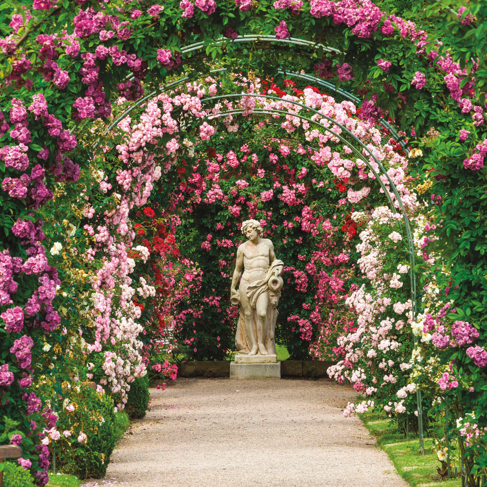 Коллекция Парки и сады