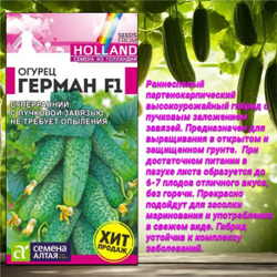 Лучшие сорта самоопыляемых гибридов огурцов. Семена Алтая
