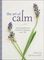 The Art of Calm