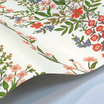 Rifle Paper Co. Second Edition