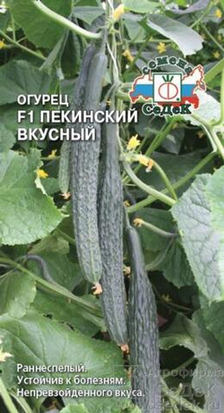 Огурец Пекинский Вкусный F1 0,2 г Седек