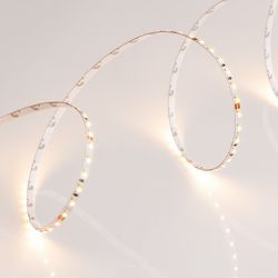 Лента светодиодная Arlight MICROLED 024506(2)