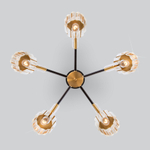 Потолочная люстра 70090/5 черный