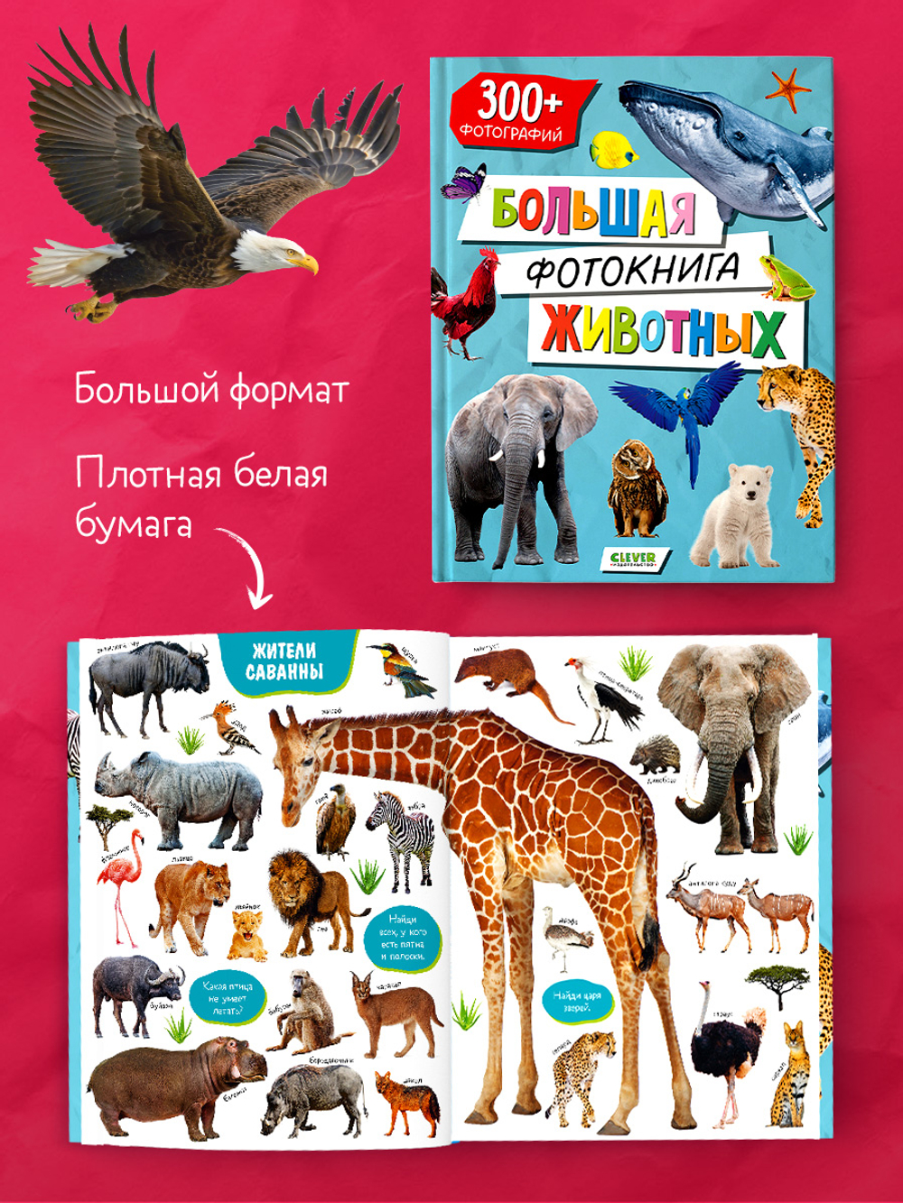 Первые книжки малыша. Большая фотокнига животных