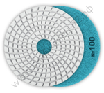 ЗУБР АГШК 100 мм, №100, мокрое шлифование, Алмазный гибкий шлифовальный круг (29866-100)