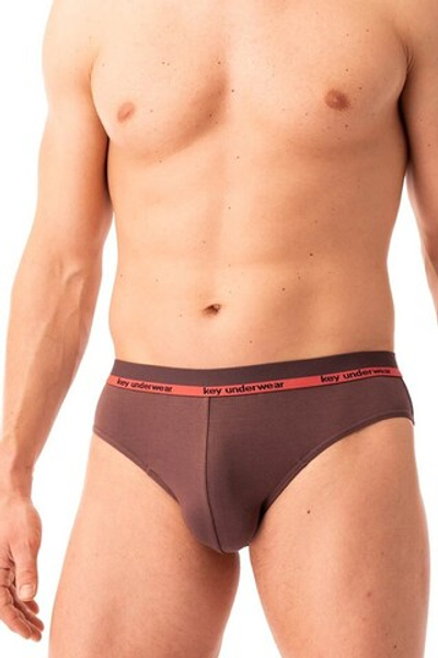 MPP 287 Трусы слипы 2 шт. в упаковке KEY