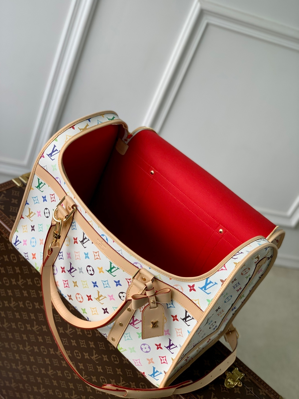 Louis Vuitton Dog Bag