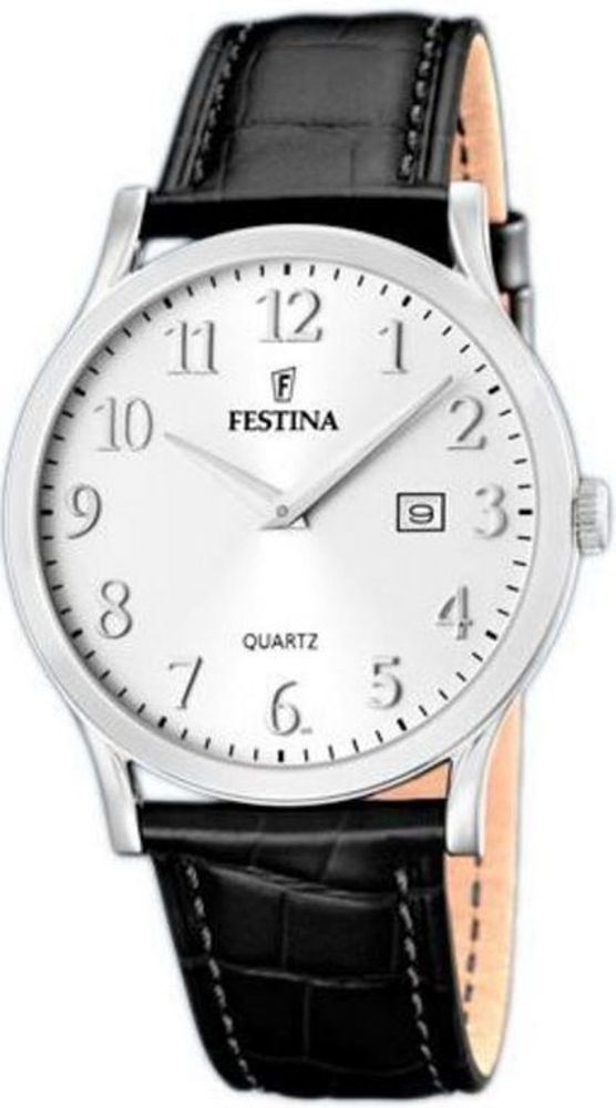 Мужские наручные часы Festina F16520/2