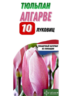 Тюльпан Луковица, Алгарве, 10шт