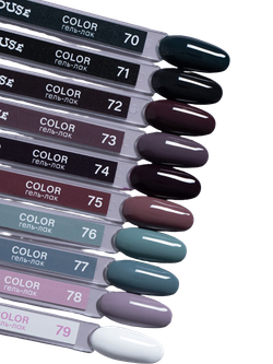 Гель лак COLOR №079 Pink House 10мл