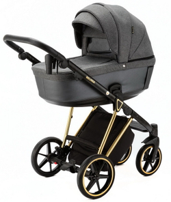 Детская коляска Adamex Belissa Special Edition 2 в 1 B-PS562 (Т.СЕР ЗОЛОТ.РАМ)