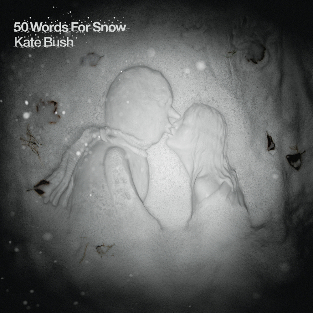 Kate Bush / 50 Words For Snow (2LP)