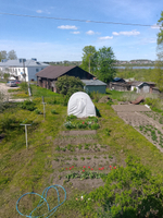 2 к.кв., п.Шексна, ул.Дзержинского,1