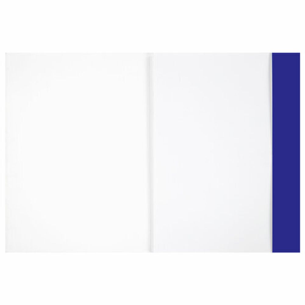 Бумага для рисования и графики в папке А4, 20 л., 200 г/м2, ВАТМАН ГОЗНАК, BRAUBERG ART CLASSIC, 114492