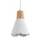 Подвес Lumion EOLIANA 8352/1B