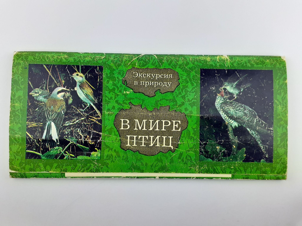 Набор открыток "В мире птиц", СССР, 1979 год