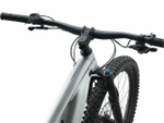Электровелосипед Giant Trance X E+ Pro 29 1 (2021)