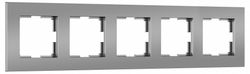 Рамка на 5 постов Werkel Slab серебро софт W0052965