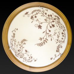 Накладной светильник TopLight Irene TL9630Y-00OA