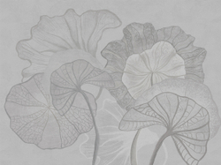 Коллекция SUMMERTIME