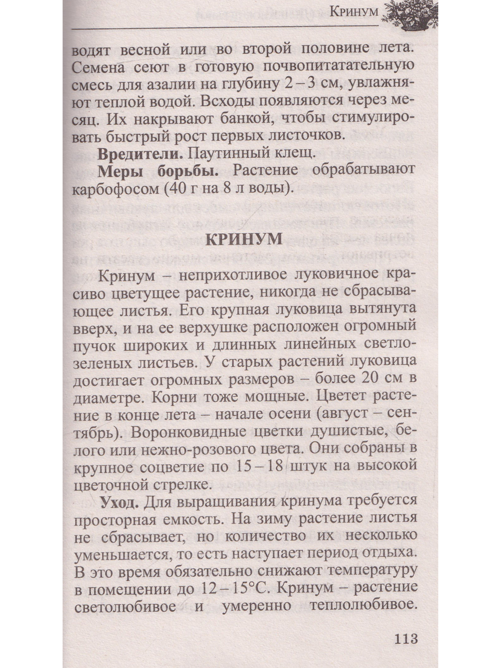 Любимые домашние цветы. Практические советы