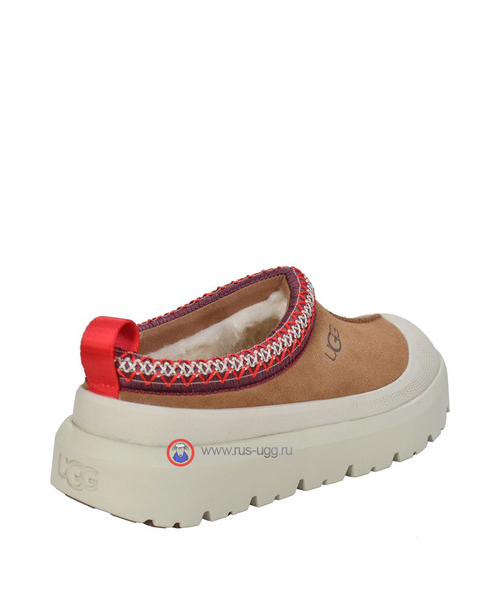 TAZZ HYBRID SLIPPER Chestnut
