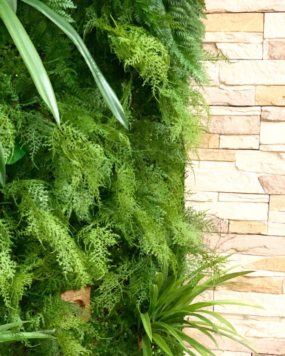 Вертикальное озеленение частного интерьера искусственными растениями г. Анапа