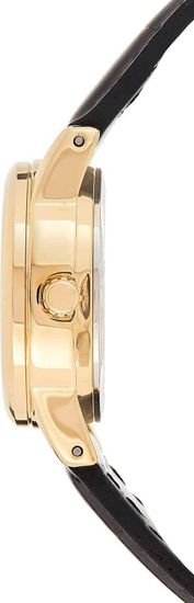 Наручные часы Casio LTP-V002GL-7B