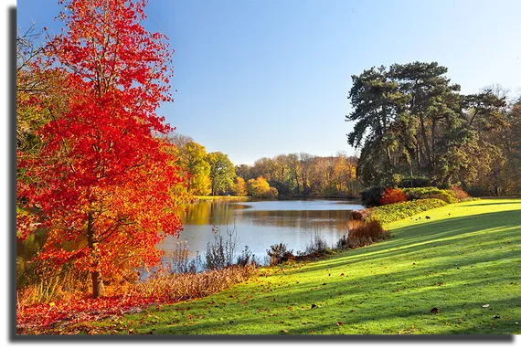 Постер "Красивая осень"