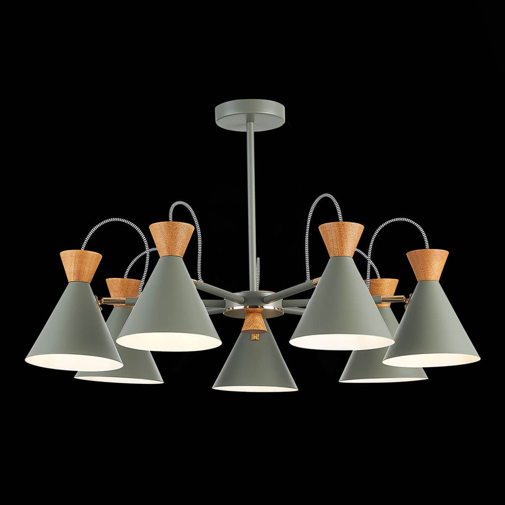 Люстра на штанге EVOLUCE Modica SLE125112-07