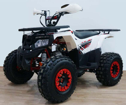 Квадроцикл YACOTA Fusion 125