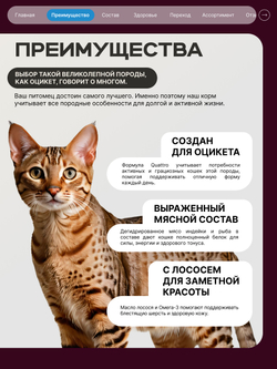 Корм сухой для взрослых кошек породы Оцикет, с лососем, 2 кг, QUATTRO