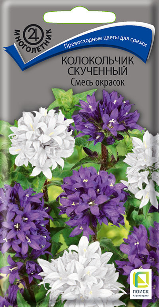 Колокольчик скученный Смесь окрасок