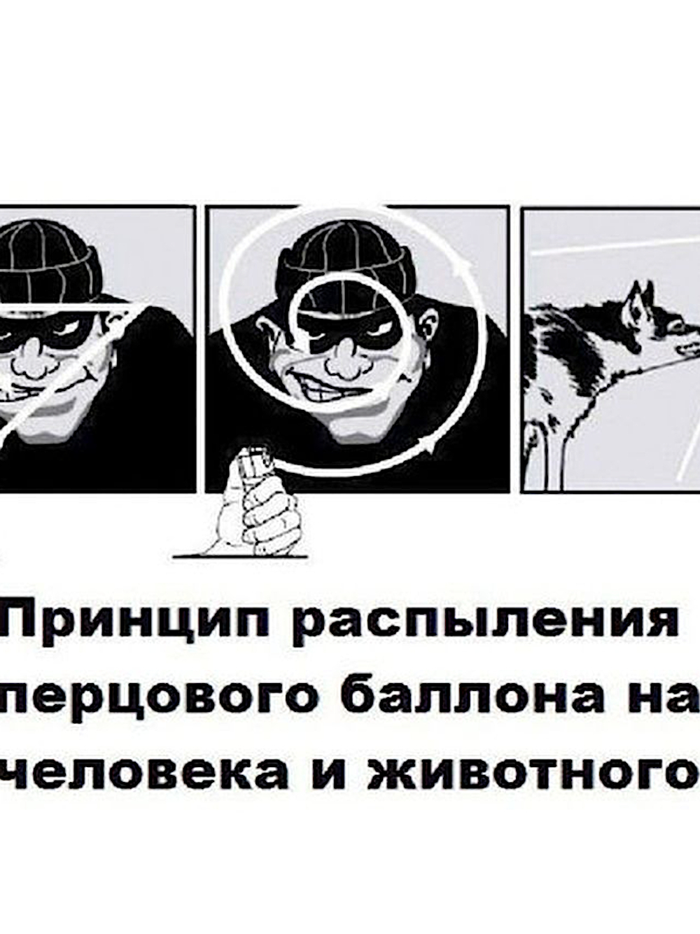 Баллончик Защитный Перцовый Шок 65мл (действует до 20мин до 3м)