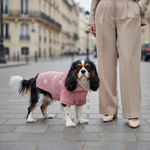 Вязаный свитер для собак и кошек