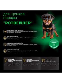 Корм сухой для щенков породы Ротвейлер, премиум полнорационный комплекс, с ягненком, 2,5 кг, QUATTRO
