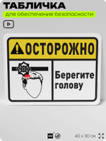 Табличка для обеспечения безопасности "Осторожно, берегите голову", для офиса, по охране труда для предприятия, организаций, 40х30 см, Silver Plane x Айдентика Технолоджи