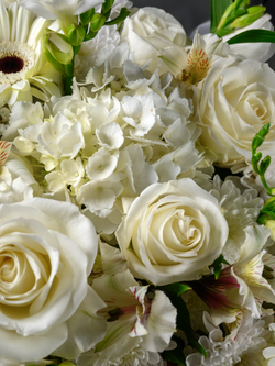 Чистая любовь