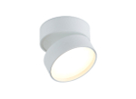 Накладной поворотный светодиодный светильник,  12Вт
