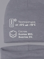 Шапка для мальчика осенняя со снудом